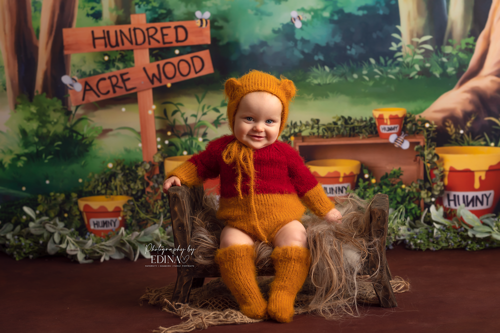 Winnie the pooh sales 1st birthday boy outfit