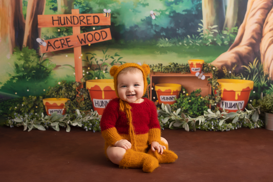 Winnie Pooh outfit